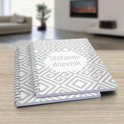 Sivo belo poklon dnevnik